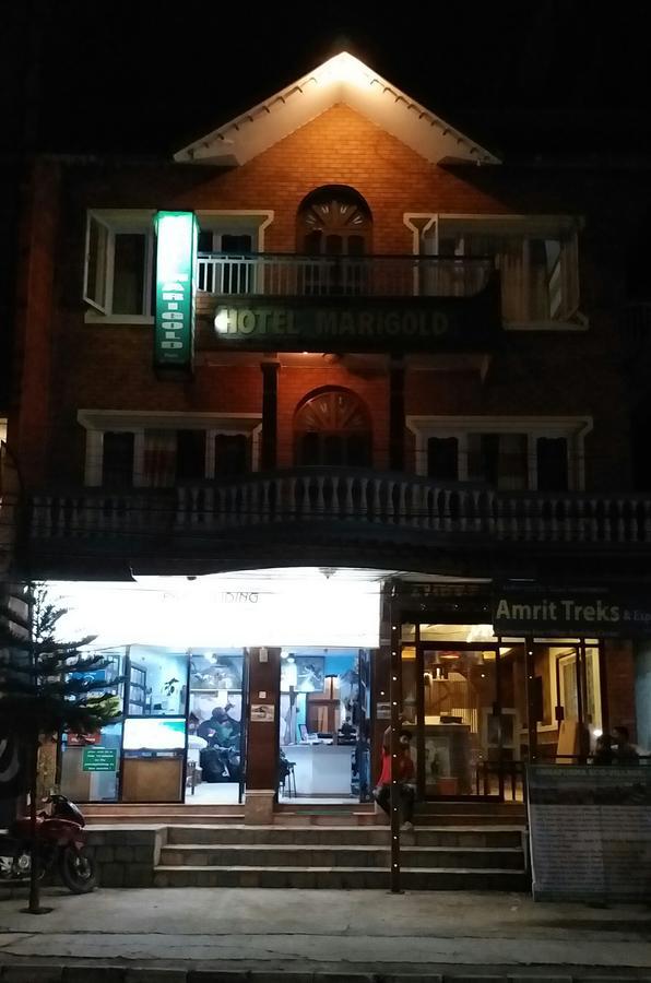 Hotel Marigold โปขระ ภายนอก รูปภาพ